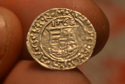 Денар 1568.Максимилиан II 1564-1576 - CSC_0352.JPG