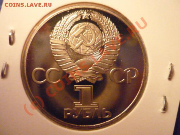 победа-30, новодел, до 30 мая 22-00 - P1020959.JPG