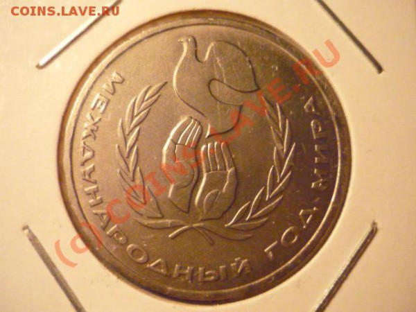 год мира, шалаш, до 30 мая 22-00 - P1020962.JPG