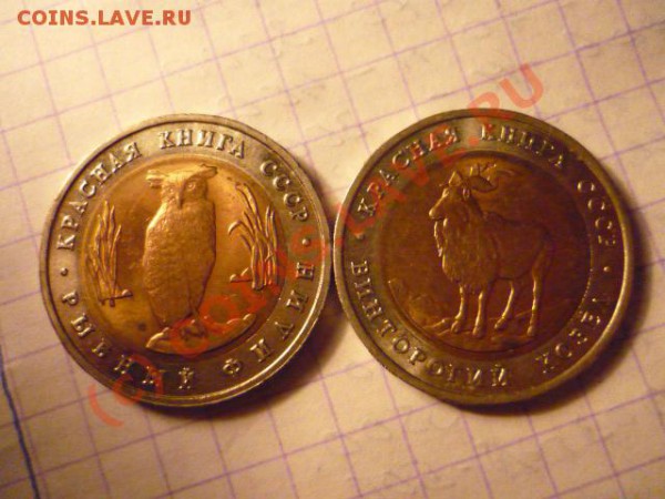 кк-91, до 30 мая 22-00 - P1020973.JPG