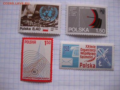 Связь(отличные)!до 14.02.2015 - IMG_2155.JPG