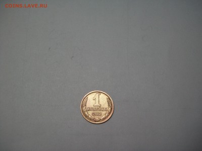1к.82г. - 100_7192