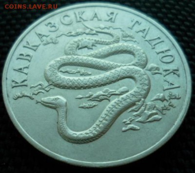 1 рубль 1999 Кавказская Гадюка до 15.02.15г в 22.00 мск - SAM_4259.JPG