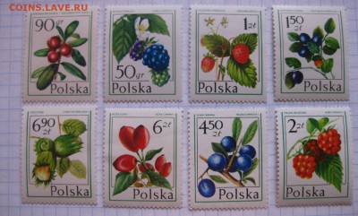 (отличные)!до 15.02.2015 - IMG_2131.JPG