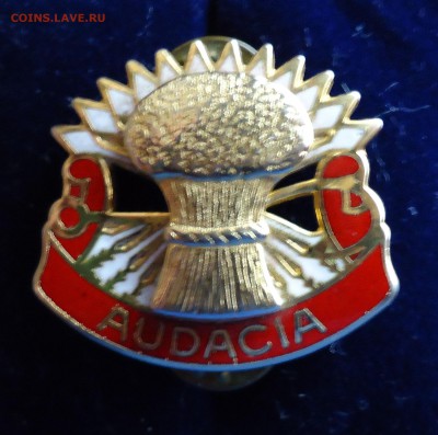 Знак  AUDACIA оценка - значок