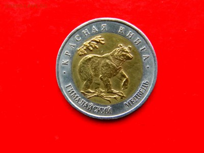 _____КК___ГИМАЛ____МЕДВЕДЬ__с_ 2OO_руб____   до 15 фев - Изображение 008