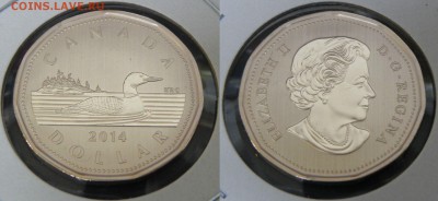 Канада 1 доллар 2014 инверсивный ПРУФ 19.02 22.00 - Канада 1 доллар 2014-2.JPG