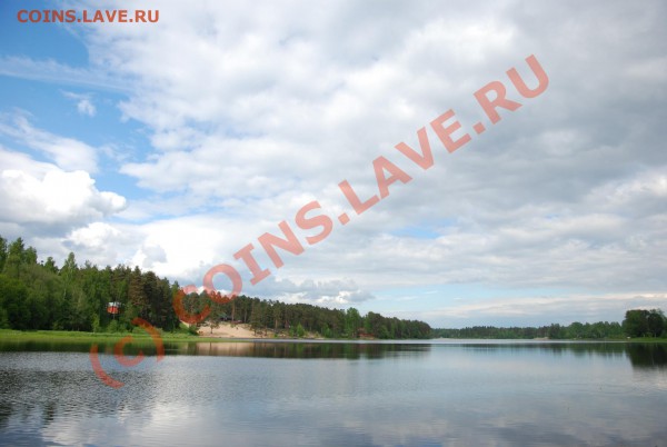 ФОТО - просто фото. Те что получились удачными. - DSC_0139 copy