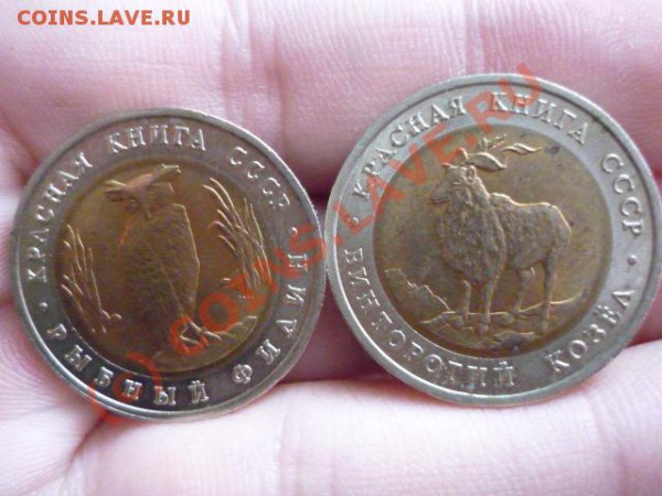кк-91, до 30 мая 22-00 - P1020976.JPG