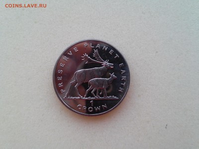 1 крона 1994 г. остров Мэн - Лоси до 18.02.2015 г. - Лоси
