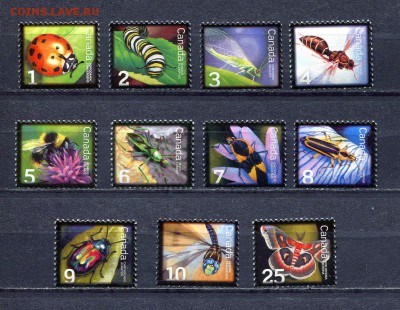 Канада 2007 - 2009. До 21.02.2015 в 17:00 МСК - img256