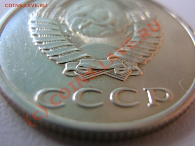 б - IMG_5707.JPG