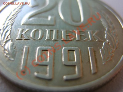б - IMG_5706.JPG