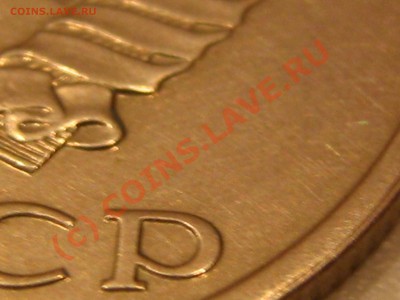 б - IMG_5736.JPG