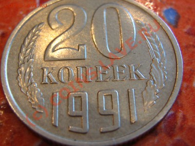 двора - IMG_5744.JPG
