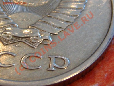 двора - IMG_5750.JPG