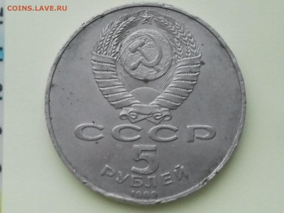 5 р. Регистан - коцаный, низкий, короткий!!! - регистан (3)