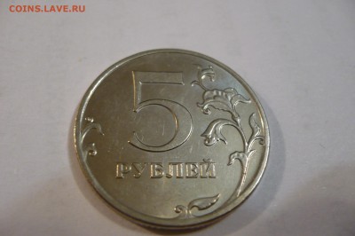 Б3 - P1040571.JPG