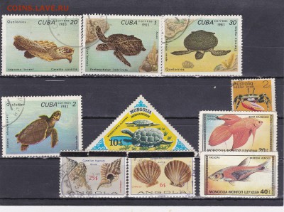 Морские животные на марках Мира до 17.02 в 22.00 - IMG_20150216_0001