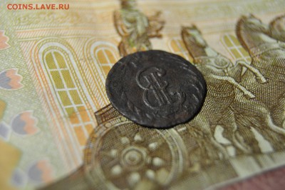 полушка сибирь 1771 КМ до 22 февраля - DSC_0066.JPG
