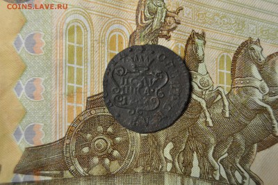 полушка сибирь 1767 КМ до 22 февраля - DSC_0070.JPG