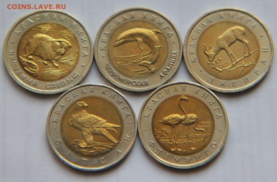 НАБОР КРАСНОЙ КНИГИ 91-94гг. 15шт. ОТЛИЧНЫЙ с 200р до 19.02. - IMG_0258.JPG