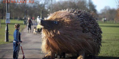 Животные на монетах - 8FF-Bc_dWaI