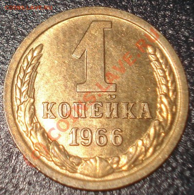 1 копейка 1966 - 5 стеблей (№141 по АИФ) - до 3.06.10(21-00) - 1 коп 66(141) рев.JPG