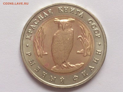 5 РУБЛЕЙ 1991 г. РЫБНЫЙ ФИЛИН. КРАСНАЯ КНИГА . 19.02 в 22-00 - DSC_7369