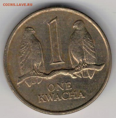 Замбия квача 1989 Соколы до 23.02.15 в 22.00мск (8967) - 4-з1