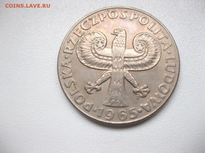 ПОЛЬША,10 злотых 1965г(Колонна Сиг.)!до 19.02.2015 - IMG_2286.JPG