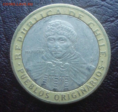 Бимки иностранка- - DSC03276.JPG