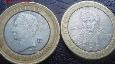Бимки иностранка- - DSC03275.JPG