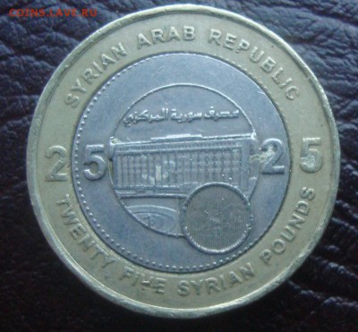 Бимки иностранка- - DSC03287.JPG