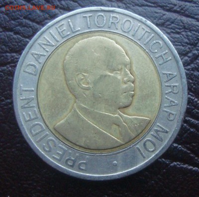 Бимки иностранка- - DSC03290.JPG
