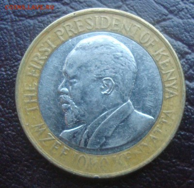 Бимки иностранка- - DSC03295.JPG