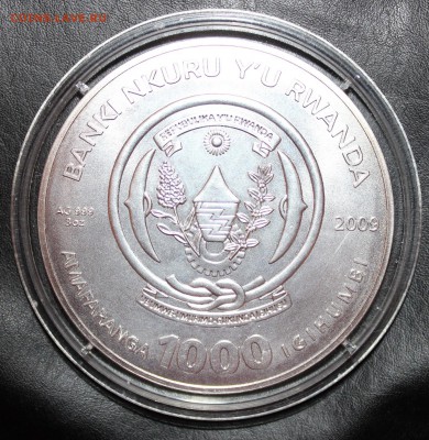 Руанда 1000 франков 2009 рыбы серебро 93гр - РЫБА-2.JPG