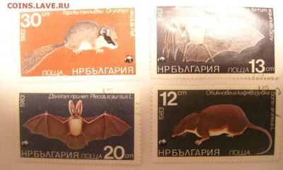 Фауна(хорошие)!до 21.01.2015 - IMG_2361.JPG