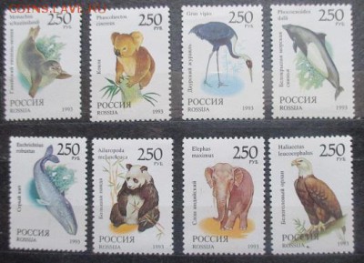 Россия. Фауна мира - IMG_0466.JPG
