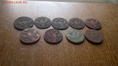 Монеты денга 1731-1754гг. - 2015-02-19-012