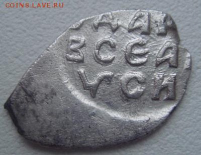 Чешуя разная. На определение. Тема пополняемая. - DSC05890.JPG