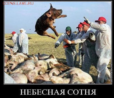 Ну а теперь про Украину - 785