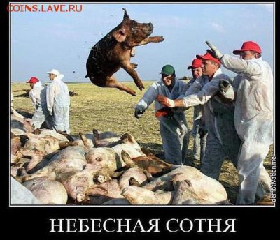 Ну а теперь про Украину - 785