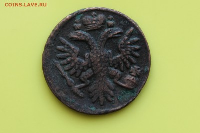Денга 1733 год или нет? - IMG_7319.JPG