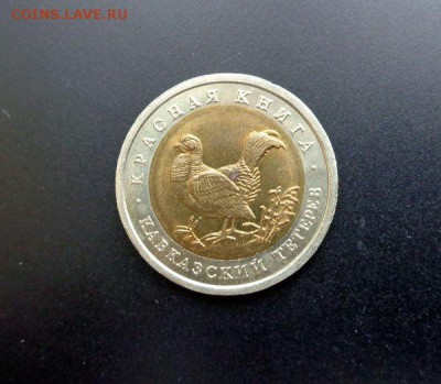Красная книга 1993 кавказский тетерев до 25.02.15 22-00 МСК - tet1