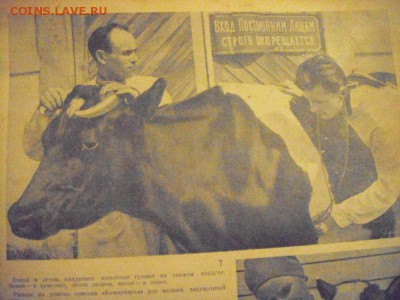 подшивка. "Огонек" 1937год. интересно мне показалось. - DSC05943.JPG