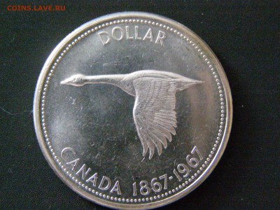 канада 1 доллар 1967 до 24.02.15 22-00 - P1314274.JPG