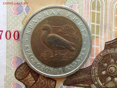 10р. 1992г. КК Краснозобая казарка до 24.02.2015 в 22.22 - image