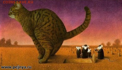 Любите ли вы кошек? - кот