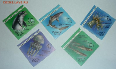 Небольшое количество марок на оценку . - P1160099.JPG